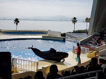 マリンワールド海の中道に投稿された画像（2022/11/27）