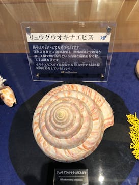 古宇利オーシャンタワーに投稿された画像（2022/11/27）