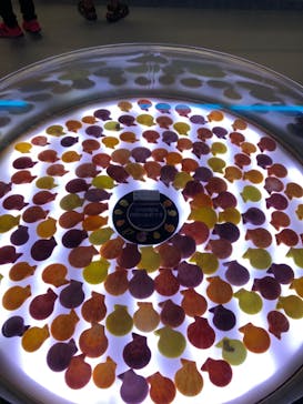 古宇利オーシャンタワーに投稿された画像（2022/11/27）