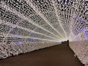 東京メガイルミに投稿された画像（2022/11/27）