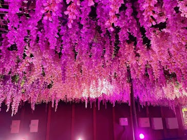 東京メガイルミに投稿された画像（2022/11/27）