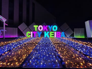 東京メガイルミに投稿された画像（2022/11/27）