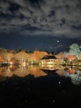 国営昭和記念公園 秋の夜散歩に投稿された画像（2022/11/27）