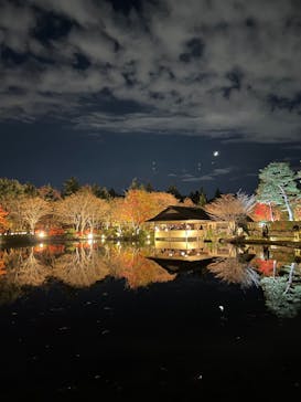 国営昭和記念公園 秋の夜散歩に投稿された画像（2022/11/27）