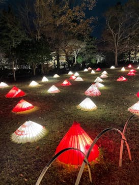 国営昭和記念公園 秋の夜散歩に投稿された画像（2022/11/27）