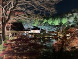 国営昭和記念公園 秋の夜散歩に投稿された画像（2022/11/27）