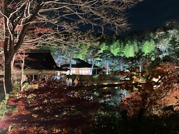 国営昭和記念公園 秋の夜散歩に投稿された画像（2022/11/27）