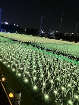 東京メガイルミに投稿された画像（2022/11/27）