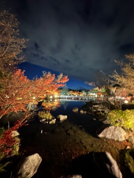 国営昭和記念公園 秋の夜散歩に投稿された画像（2022/11/27）