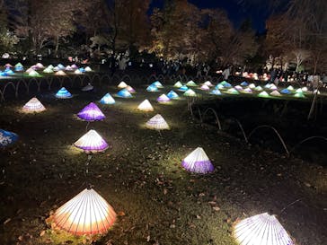 国営昭和記念公園 秋の夜散歩に投稿された画像（2022/11/27）