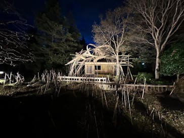 国営昭和記念公園 秋の夜散歩に投稿された画像（2022/11/27）