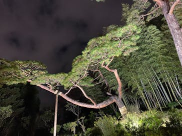 国営昭和記念公園 秋の夜散歩に投稿された画像（2022/11/27）