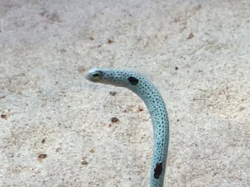 大分マリーンパレス水族館 「うみたまご」に投稿された画像（2022/11/27）