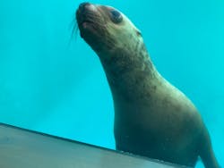 大分マリーンパレス水族館 「うみたまご」に投稿された画像（2022/11/27）