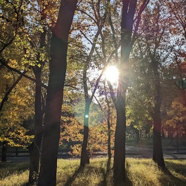 大阪城極上ラーメンフェスタに投稿された画像（2022/11/27）