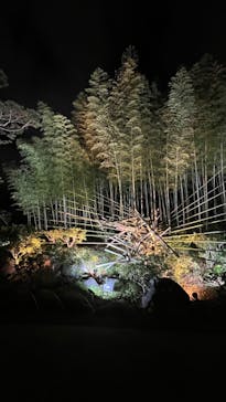 国営昭和記念公園 秋の夜散歩に投稿された画像（2022/11/27）