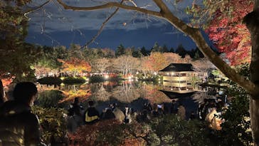 国営昭和記念公園 秋の夜散歩に投稿された画像（2022/11/27）