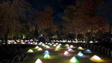 国営昭和記念公園 秋の夜散歩に投稿された画像（2022/11/27）