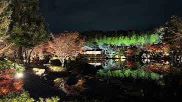 国営昭和記念公園 秋の夜散歩に投稿された画像（2022/11/27）