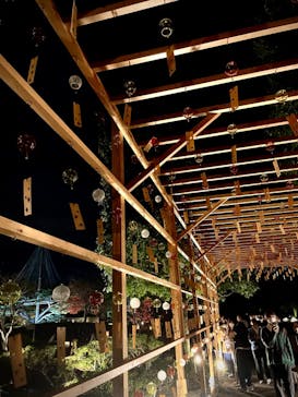 国営昭和記念公園 秋の夜散歩に投稿された画像（2022/11/27）