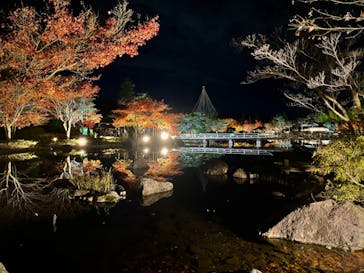 国営昭和記念公園 秋の夜散歩に投稿された画像（2022/11/27）