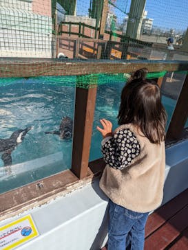 株式会社Gに投稿された画像（2022/11/27）