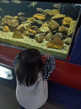 株式会社Gに投稿された画像（2022/11/27）