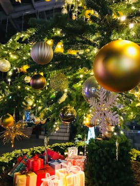 はままつフラワーパークに投稿された画像（2022/11/27）