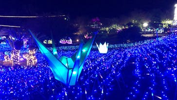 伊豆ぐらんぱる公園に投稿された画像（2022/11/27）