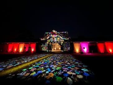 NAKEDヨルモウデ2022平安神宮に投稿された画像（2022/11/27）