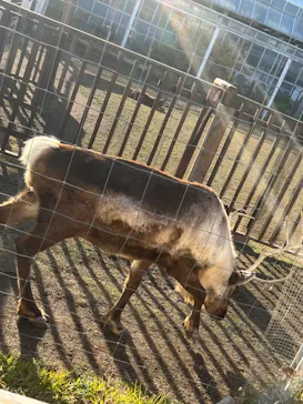 神戸どうぶつ王国に投稿された画像（2022/11/27）