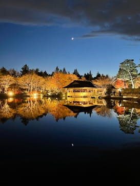 国営昭和記念公園 秋の夜散歩に投稿された画像（2022/11/27）