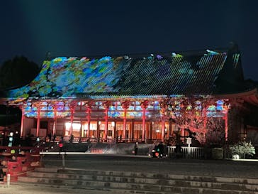 NAKEDヨルモウデ2022平安神宮に投稿された画像（2022/11/27）