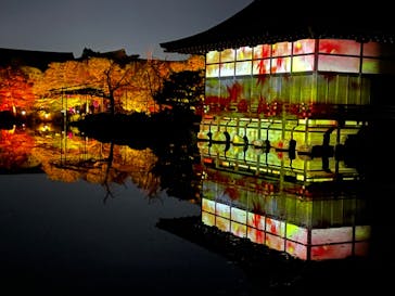 NAKEDヨルモウデ2022平安神宮に投稿された画像（2022/11/27）