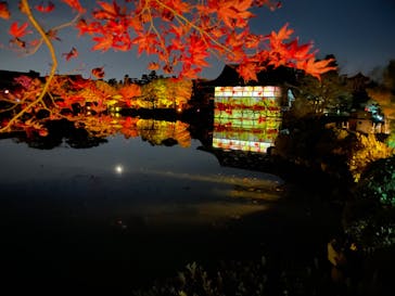 NAKEDヨルモウデ2022平安神宮に投稿された画像（2022/11/27）