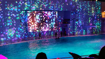 横浜・八景島シーパラダイスに投稿された画像（2022/11/27）