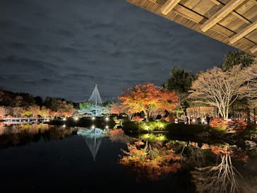 国営昭和記念公園 秋の夜散歩に投稿された画像（2022/11/27）