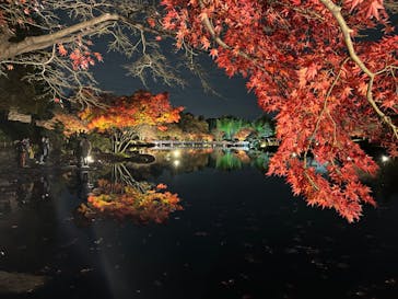 国営昭和記念公園 秋の夜散歩に投稿された画像（2022/11/27）