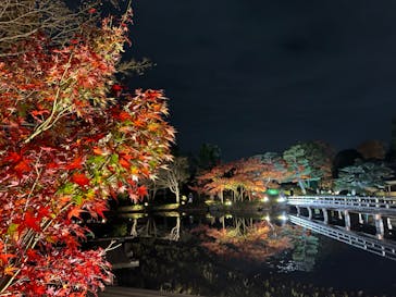 国営昭和記念公園 秋の夜散歩に投稿された画像（2022/11/27）