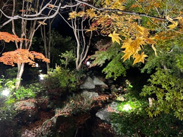 国営昭和記念公園 秋の夜散歩に投稿された画像（2022/11/27）