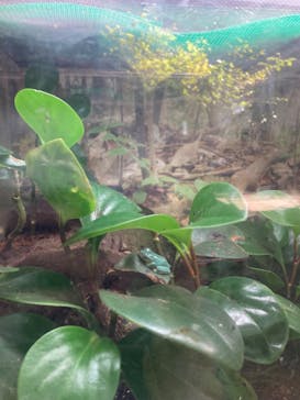 沖縄こどもの国に投稿された画像（2022/11/27）