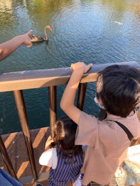 沖縄こどもの国に投稿された画像（2022/11/27）