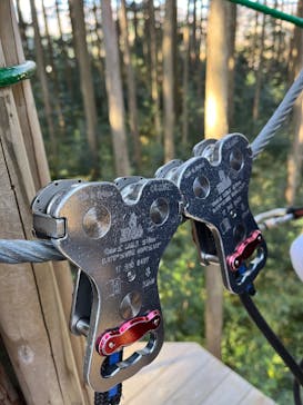 アドベンチャーパーク　オドルの森に投稿された画像（2022/11/28）