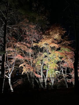 ムーミンバレーパークに投稿された画像（2022/11/28）