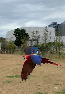 神戸どうぶつ王国に投稿された画像（2022/11/26）