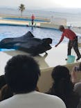 マリンワールド海の中道に投稿された画像（2022/11/28）