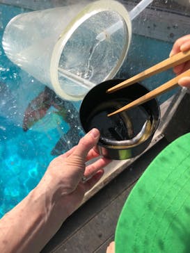 マリンワールド海の中道に投稿された画像（2022/11/28）