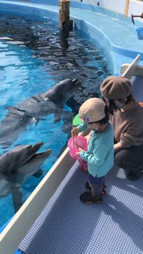 マリンワールド海の中道に投稿された画像（2022/11/28）