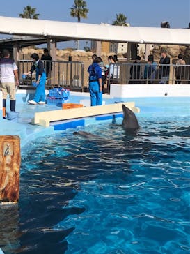 マリンワールド海の中道に投稿された画像（2022/11/28）
