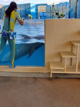 新江ノ島水族館に投稿された画像（2022/11/28）